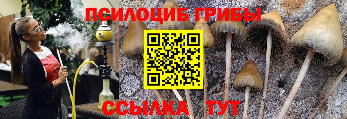 Псилоцибиновые грибы Cubensis  Вход с VPN  Псилоцибиновые грибы Magic Shrooms  купить наркотик  Киров 